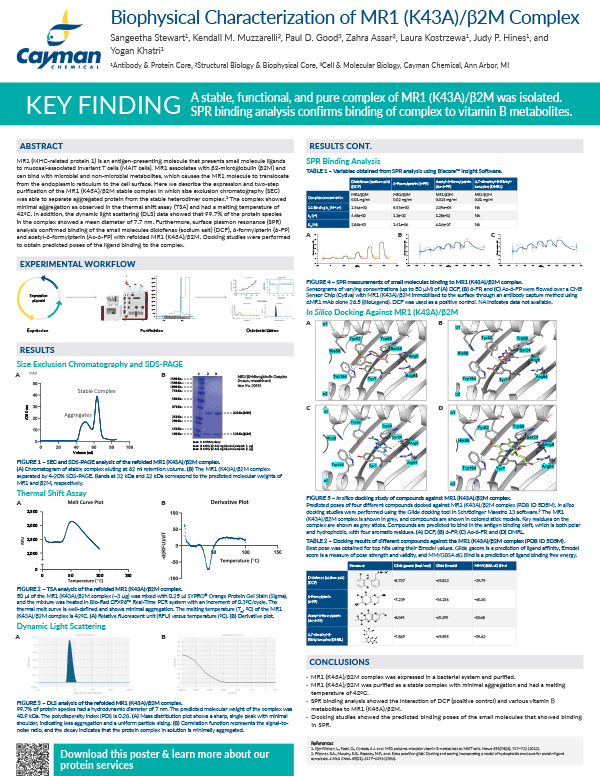 Biophysical Characterization of MR1 (K43A)/β2M Complex<br>